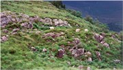RingOfKerryRockOfCashels5