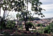 Roatan_26