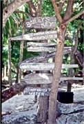 Roatan_4