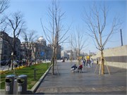 ShanghaiBund_12
