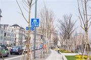 ShanghaiBund_9
