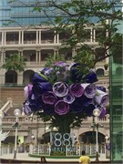 HongKong_b19