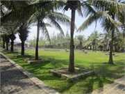ChanMay_10