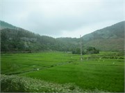ChanMay_16