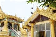 Bago-2014_51