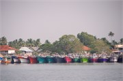 Cochin_2014-1