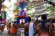 Cochin_2014-19