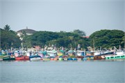Cochin_2014-2