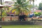 Cochin_2014-26