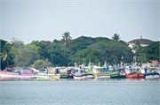 Cochin_2014-4