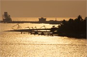 Cochin_2014-77