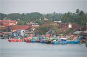 Cochin_2014-80