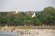 Cochin_2014-89