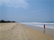 Goa_2014-52