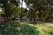 Mumbai_2014-30