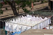 Mumbai_2014-41