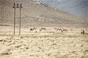 Salalah-Oman_21
