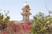 Salalah-Oman_41