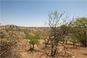 Salalah-Oman_45