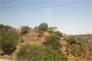 Salalah-Oman_51