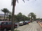 Aqaba-2014_16