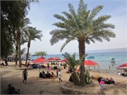 Aqaba-2014_28