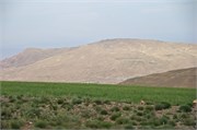 Aqaba2014_29