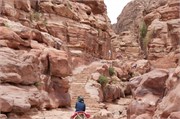 Petra2014_113