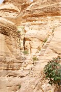 Petra2014_20