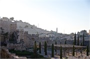 115_Jerusalem2014_90
