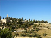 86_Jerusalem2014_61
