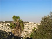 97_Jerusalem2014_72