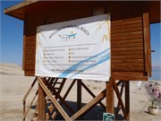 DeadSea2014_17