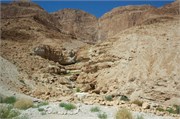 DeadSea2014_9