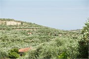 73-Knossos