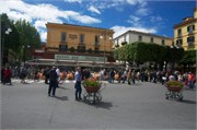 7-Sorrento
