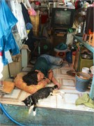 44_Saigon_iP36