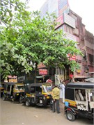 129_Mangalore_e44