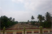 230_Bago_b32