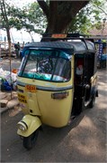 266_Cochin_b75