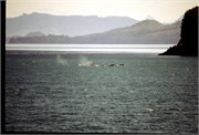 Alaska3__37