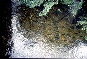 Alaska3__8