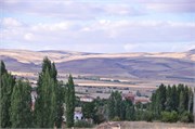 DSC_0327