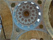 DSCN1881