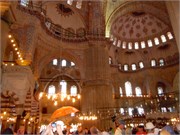 DSCN1882