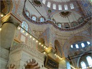 DSCN1884