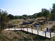 DSCN1967