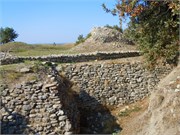 DSCN1978