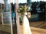 DSCN1993