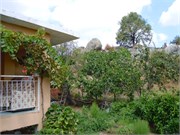 DSCN2011